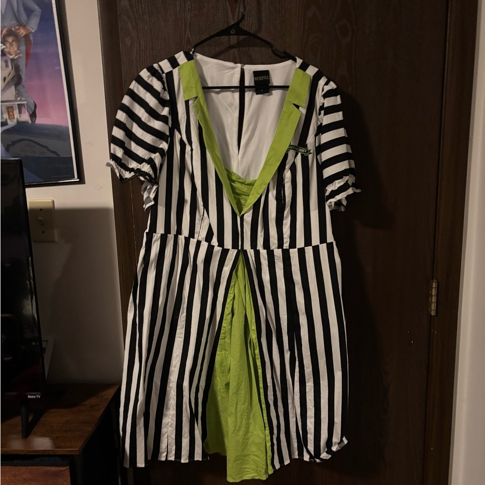Beetlejuice Black and White Striped Dress with Green Accents